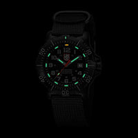 Luminox Divers Mens Watch in Black A.N.U. (Authorized for Navy Use) (XS.4221/4200 Series) - 200m Waterproof Stainless Steel Case Antireflective Sapphire Crystal
